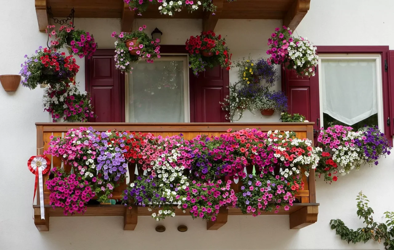 Piante acidofile da balcone: quali scegliere e perché possono trasformare i tuoi spazi esterni