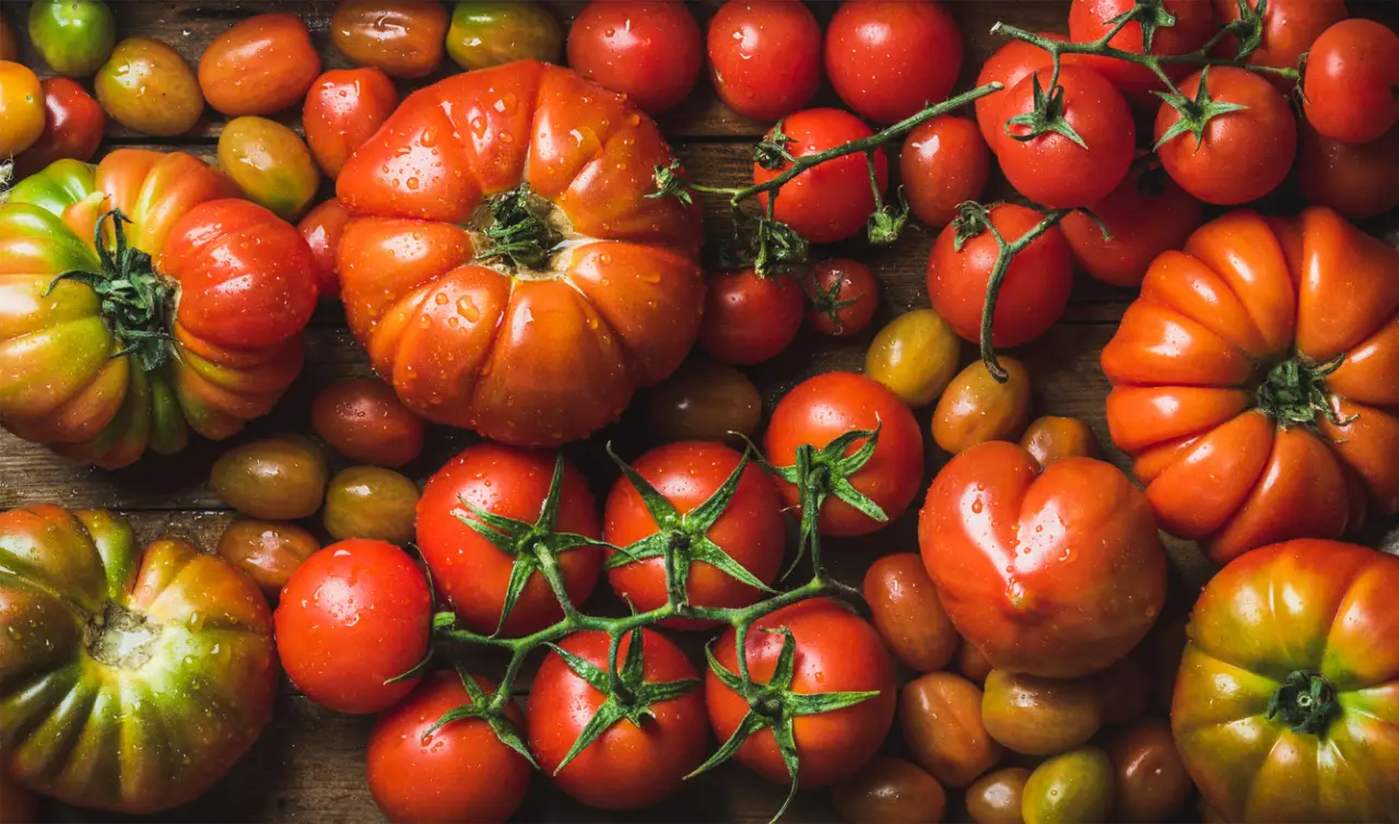 Trucco post-acqua per i pomodori: ecco il segreto per frutti più dolci e resistenti