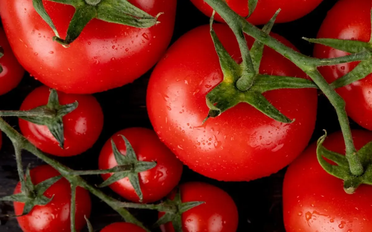 Come irrigare i pomodori: ecco le dritte definitive per non sprecare acqua